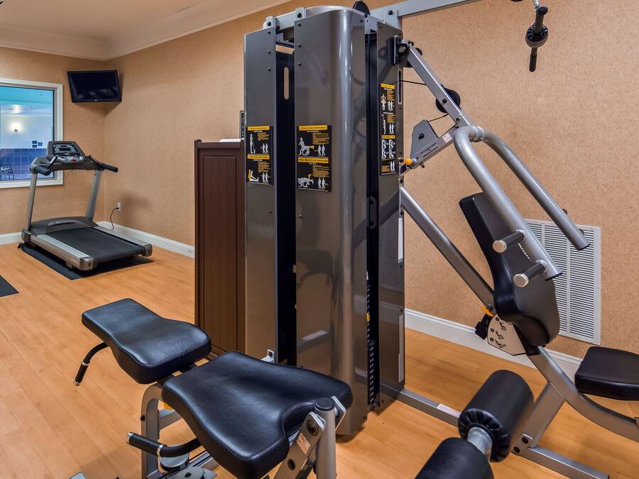 A gym with treadmills, a weight machine, and benches.
