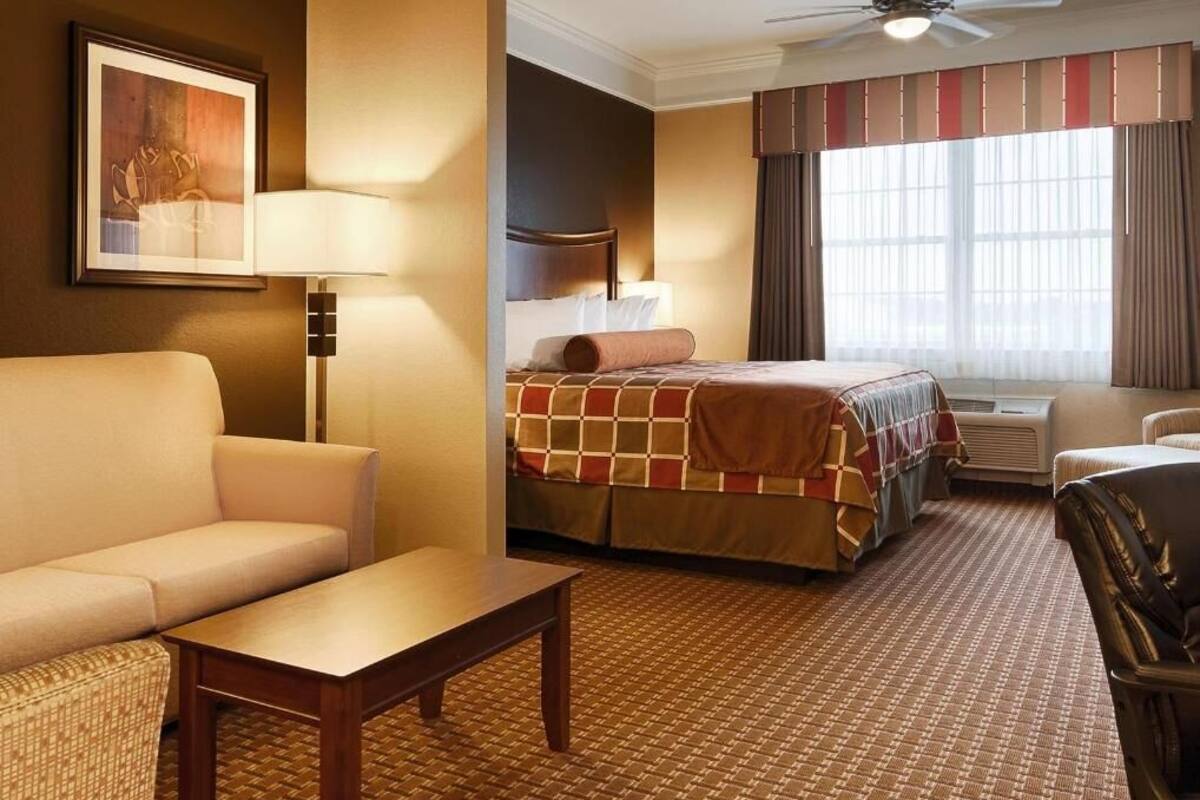 A hotel room with a bed, a sofa, a table, a chair, a lamp, and a ceiling fan.