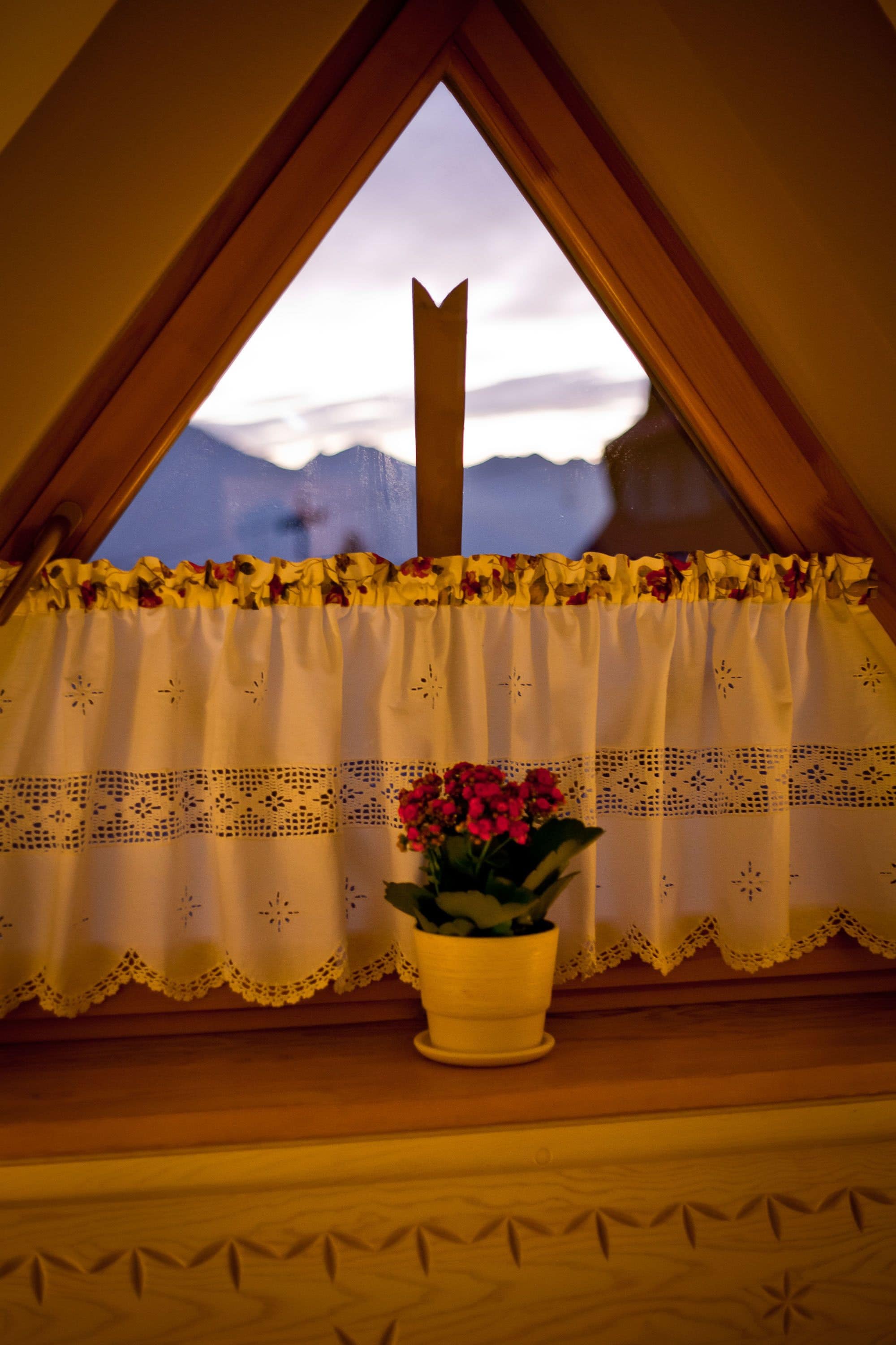 A window with a white curtain featuring a floral pattern and a potted plant with red flowers.