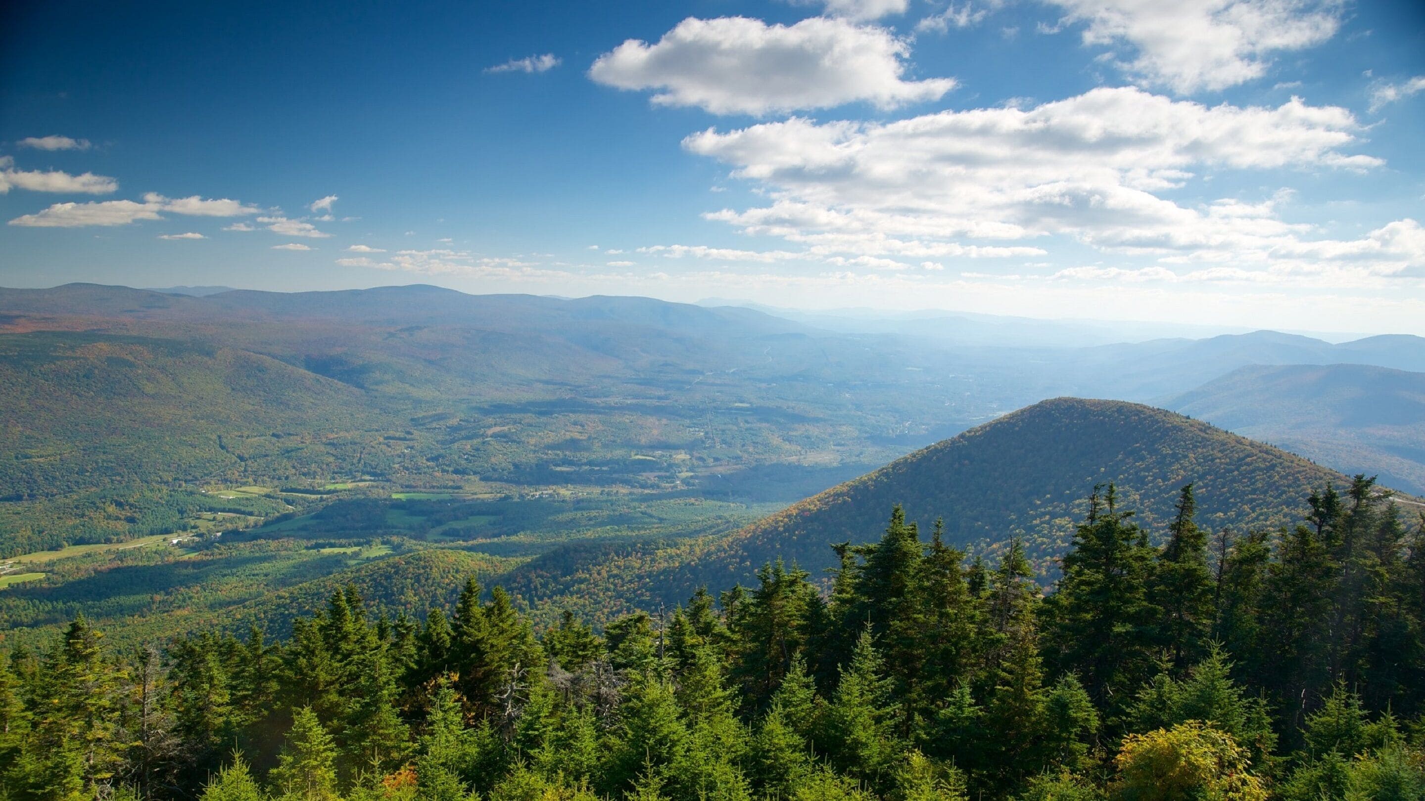 Un paysage montagneux, avec de vastes forêts et un ciel dégagé.