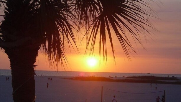 A sunset over a beach with palm trees and people in the distance. - Beach Palms (Indian Shores)