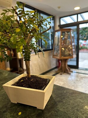 Reception - Hotel Clinton (Casoria)