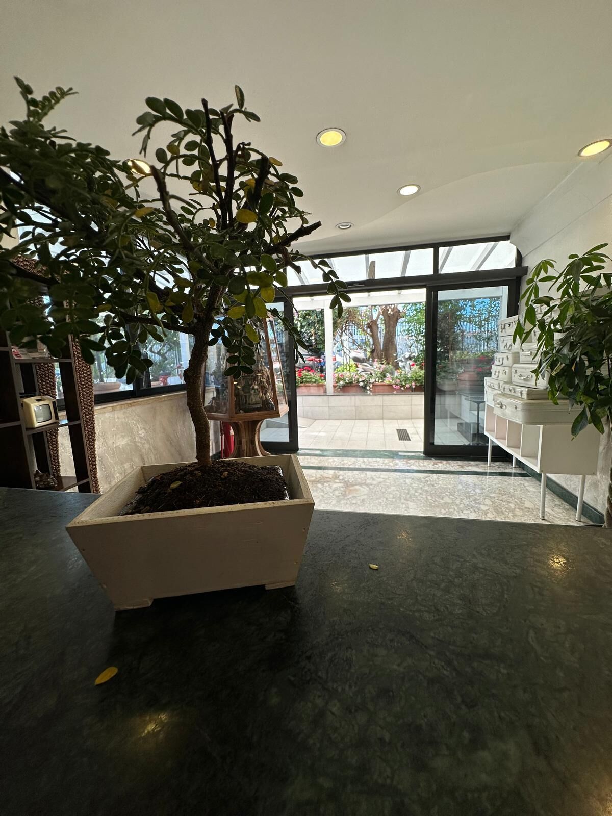 Foto - Hotel Clinton