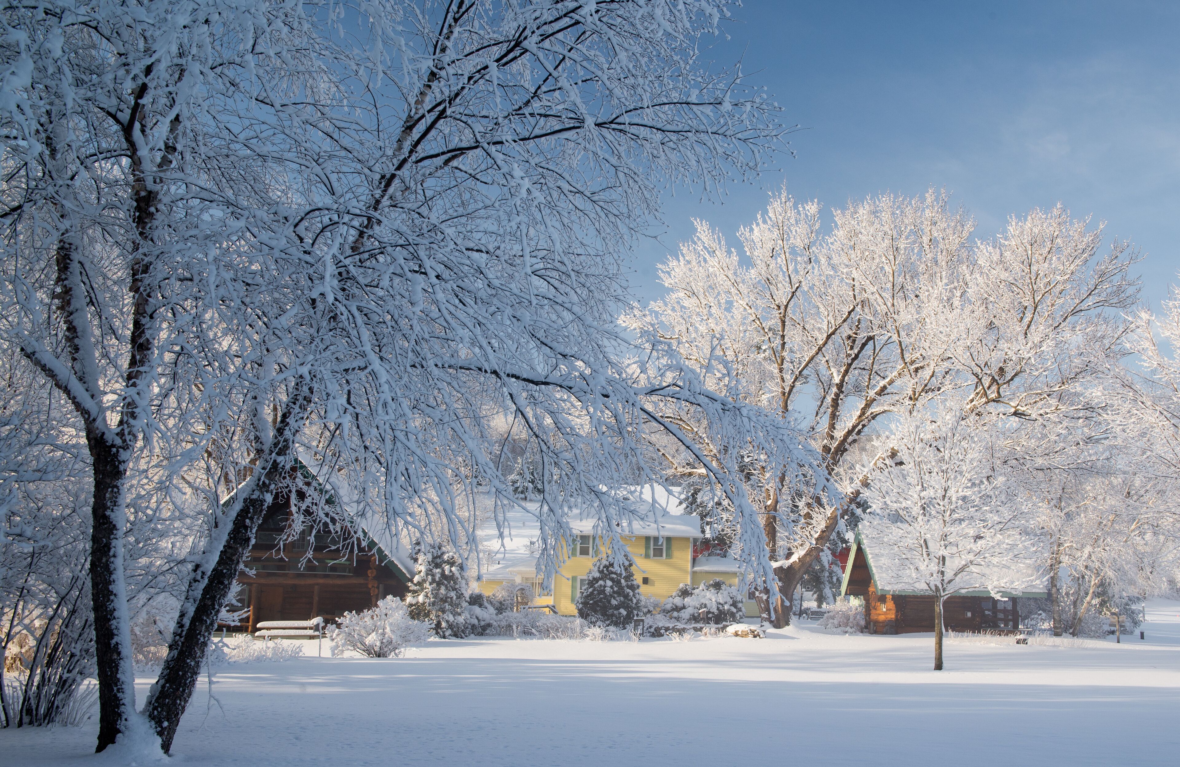 A snow-covered landscape with a yellow house and a cabin in the background.