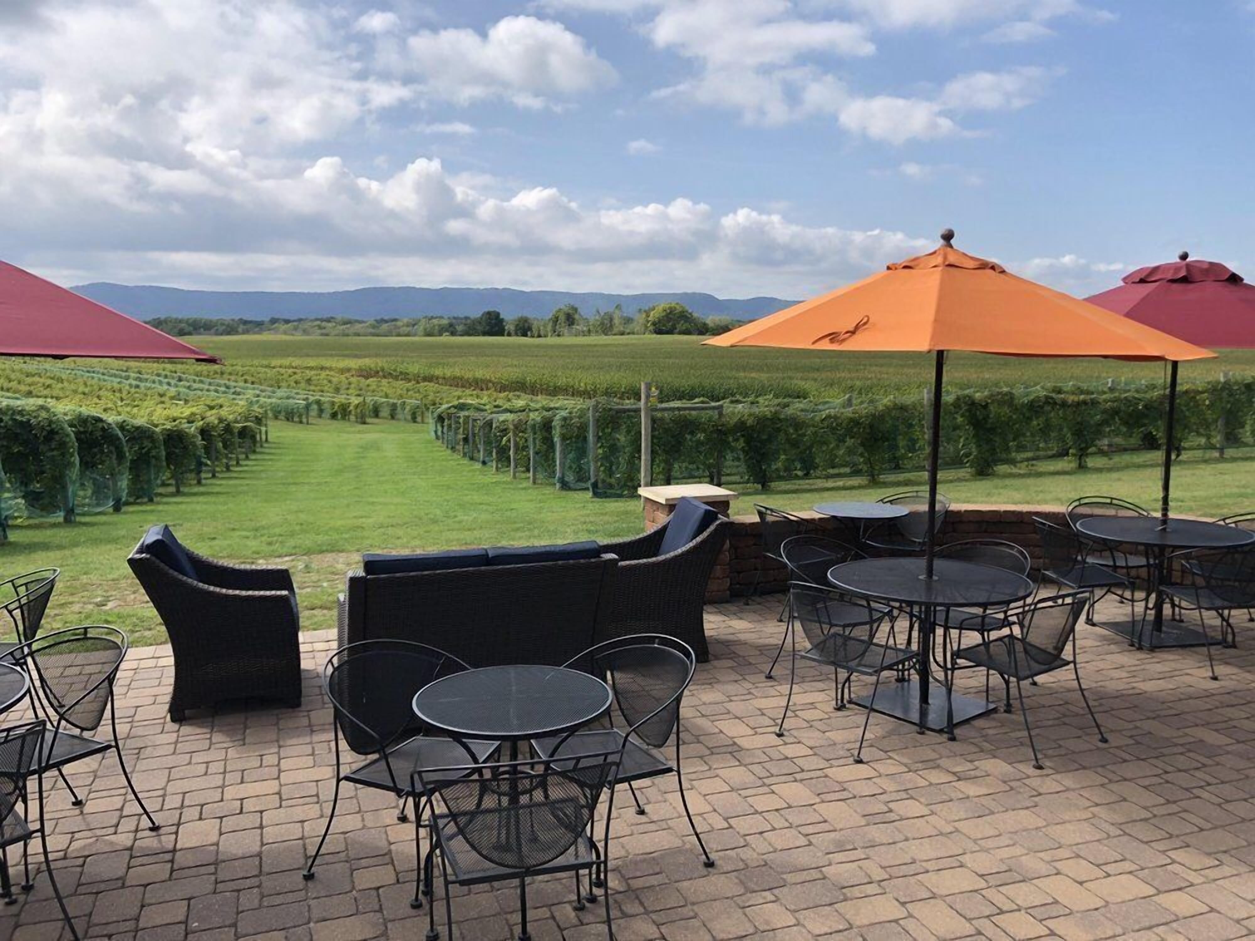 An outdoor patio area with round tables and chairs, surrounded by a brick floor, and featuring a view of a vineyard.