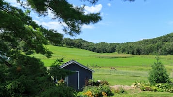 住宿內陸景