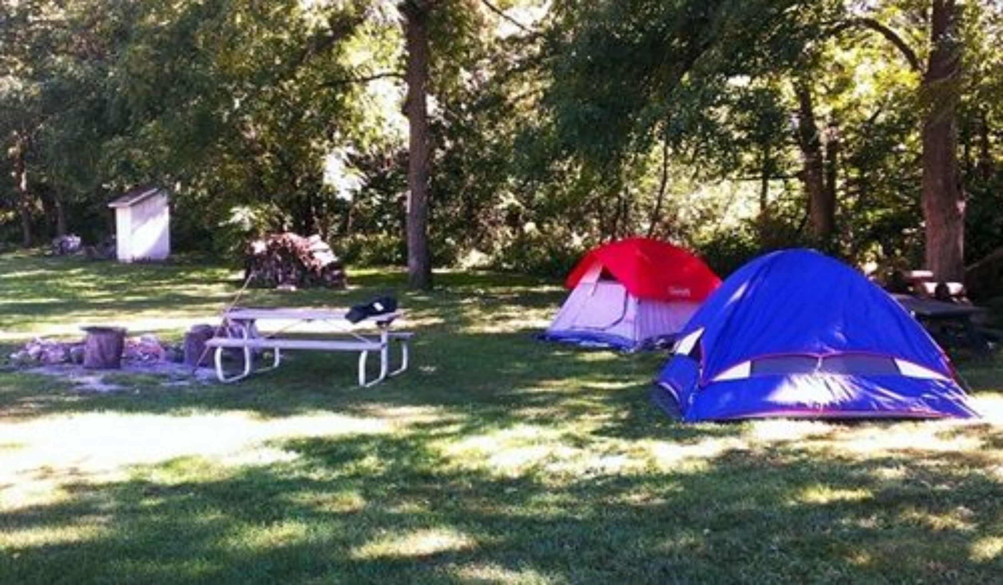 Un terrain de camping avec deux tentes, une table de pique-nique et un petit abri.