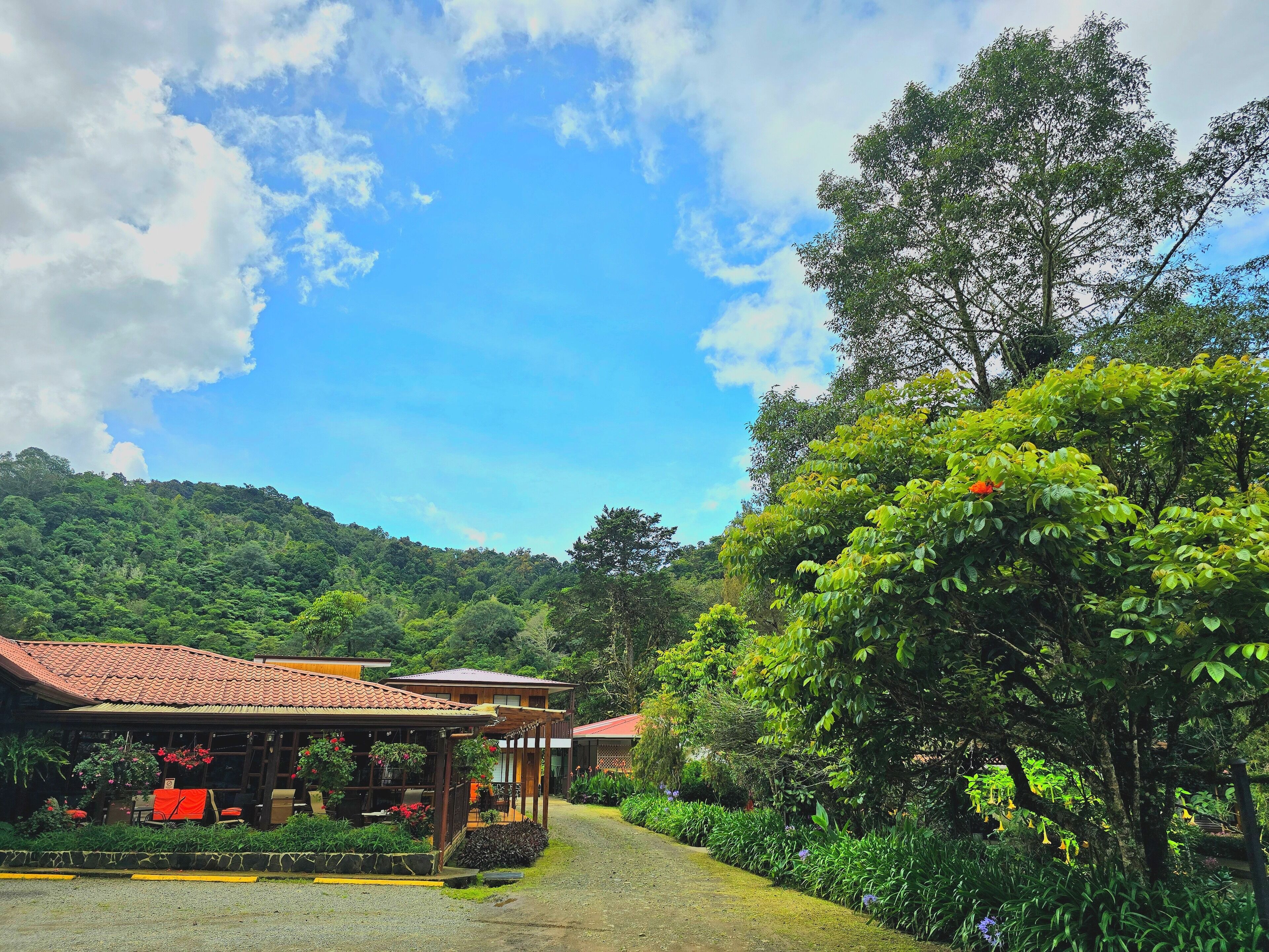 A building with a tiled roof, surrounded by lush greenery and trees.