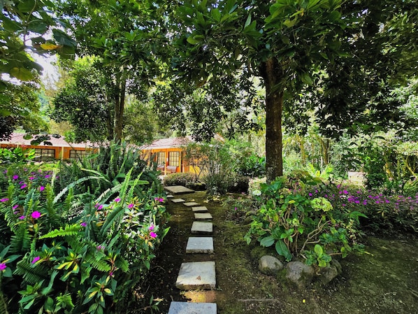 A garden with a stone path leading to a building with a tiled roof.
