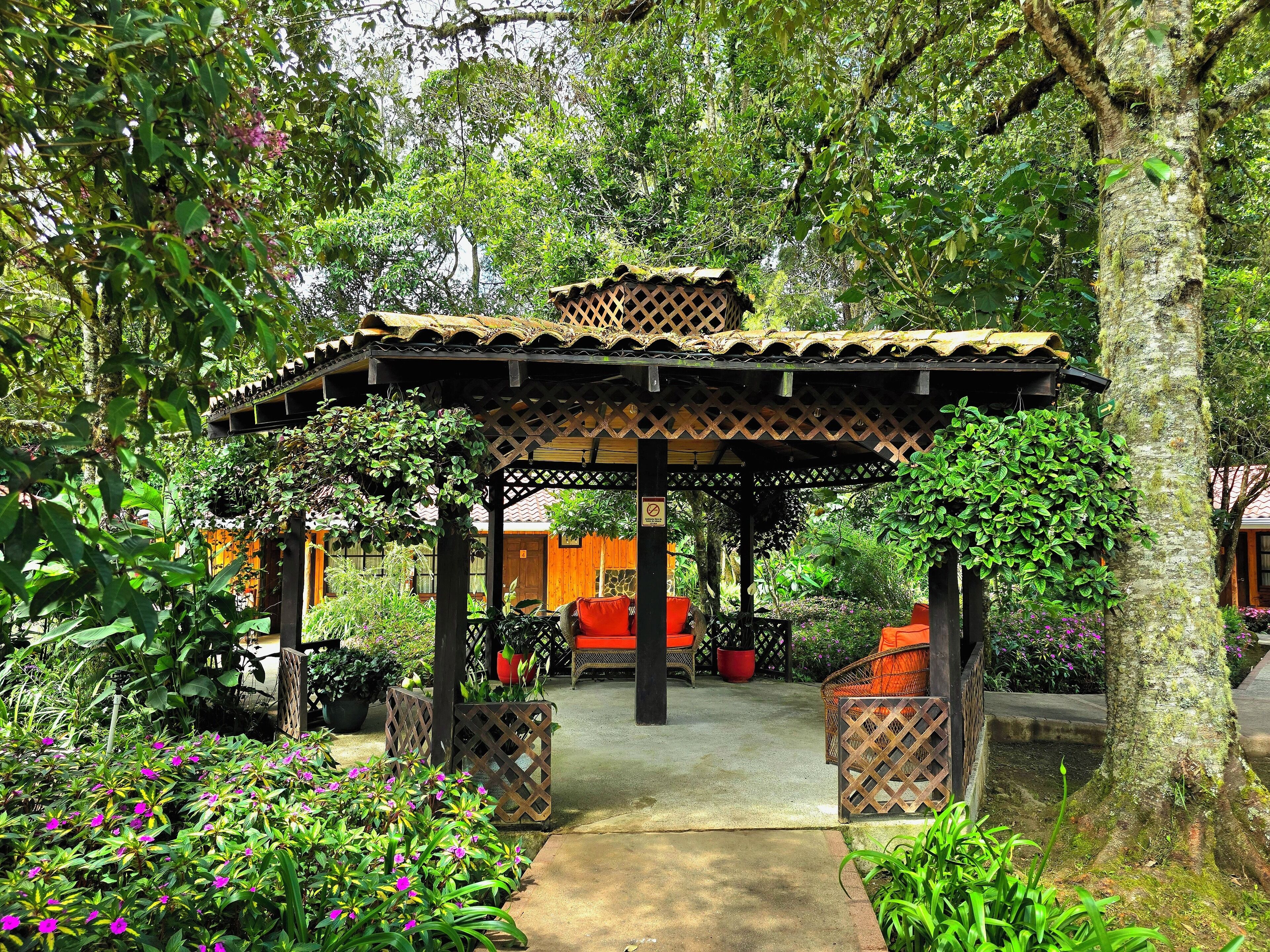 A covered outdoor seating area with a wooden lattice roof, surrounded by lush greenery and potted plants.