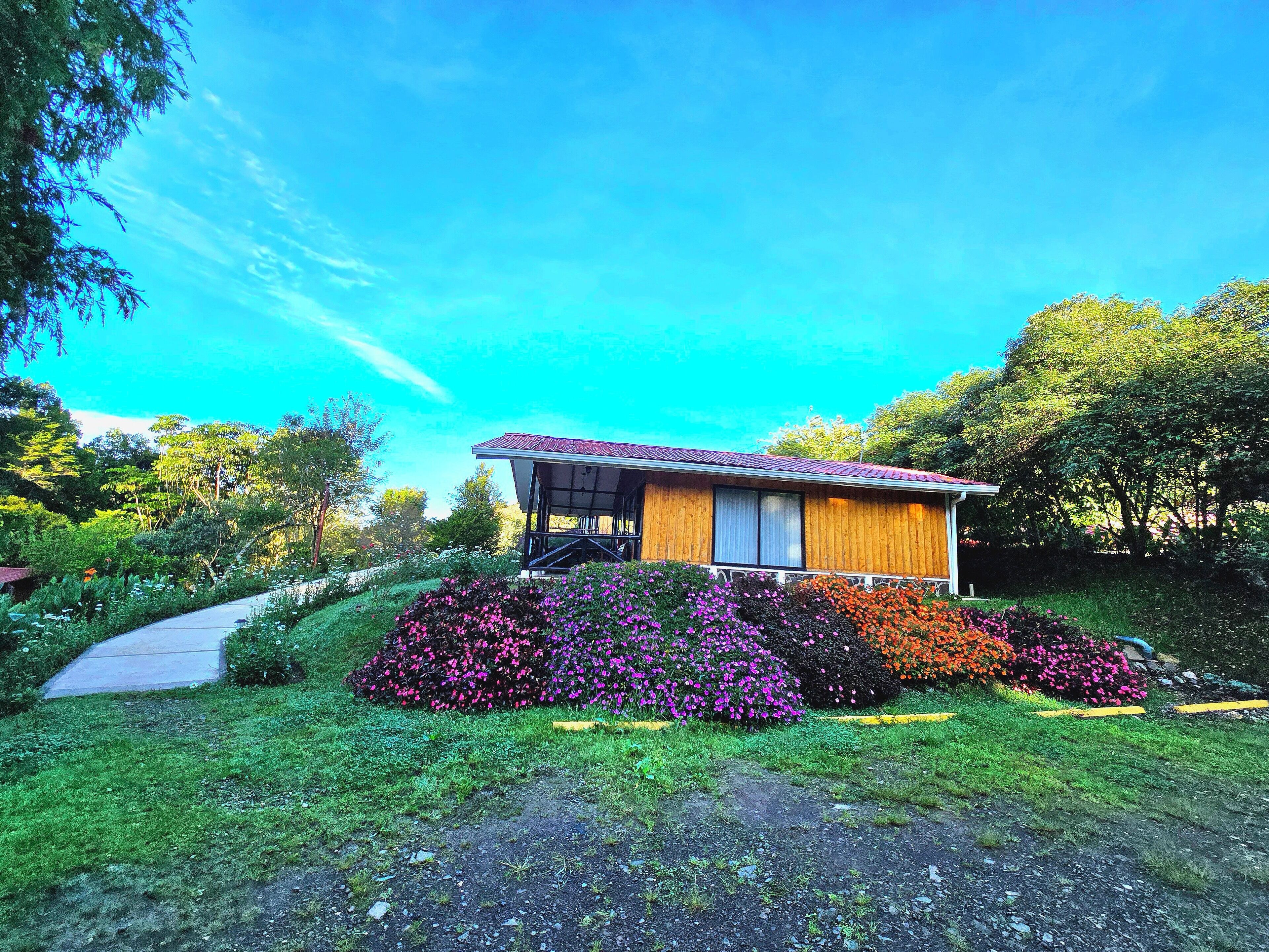 Villa Mountain View | 羽絨被、床單