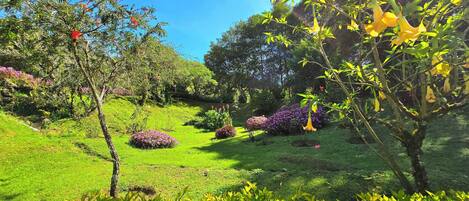 A lush garden with various plants and flowers, a clear blue sky, and a well-maintained lawn.
