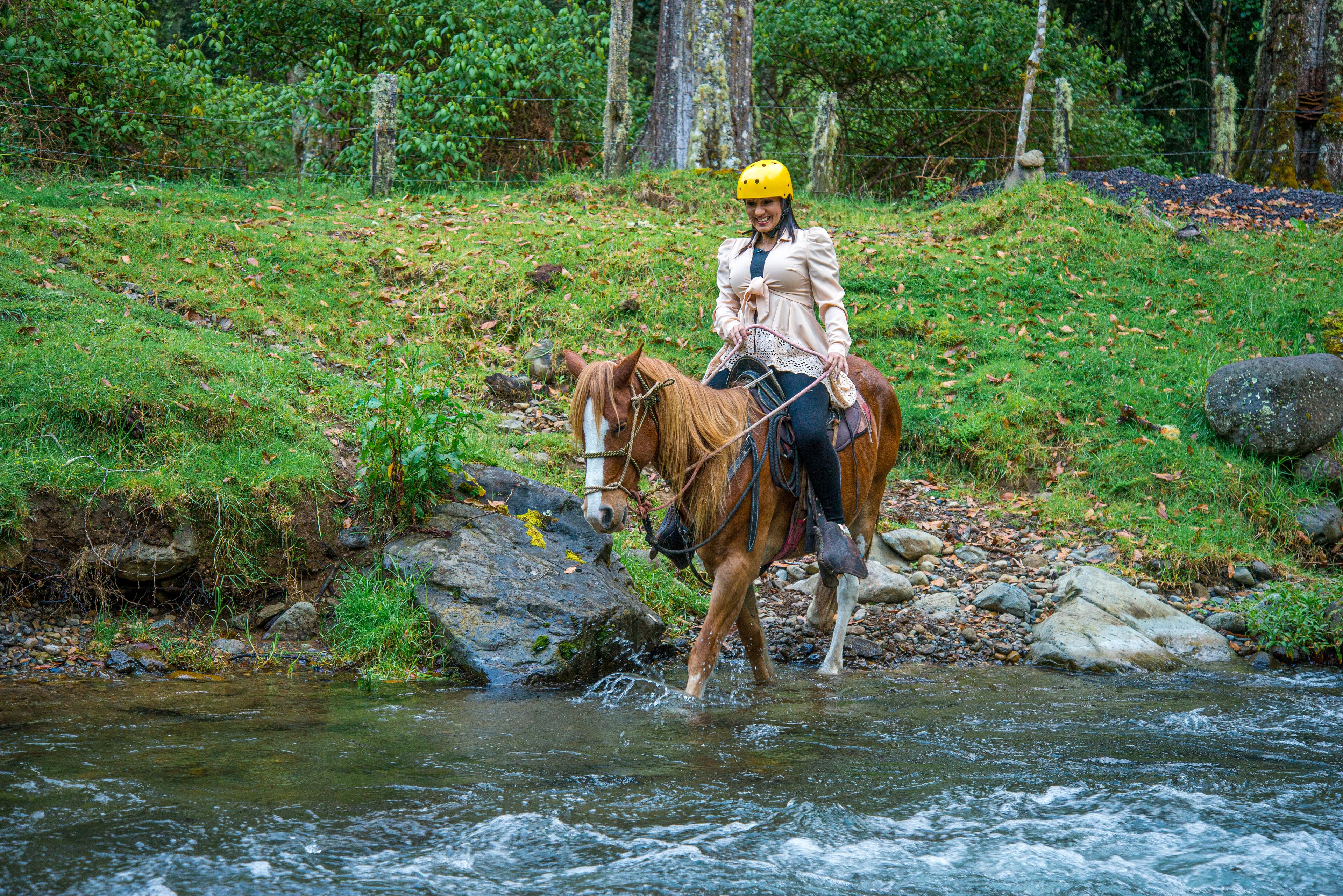 Une personne à cheval traversant un ruisseau peu profond dans un environnement naturel.