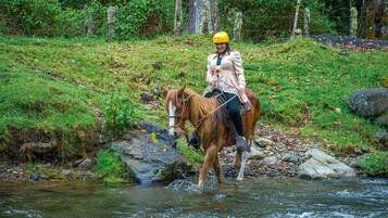 Une personne à cheval traversant un ruisseau peu profond dans un environnement naturel.