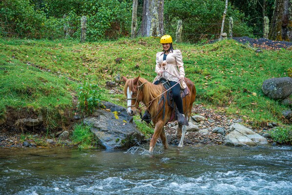 Una persona montando a caballo por un arroyo poco profundo en un entorno natural.
