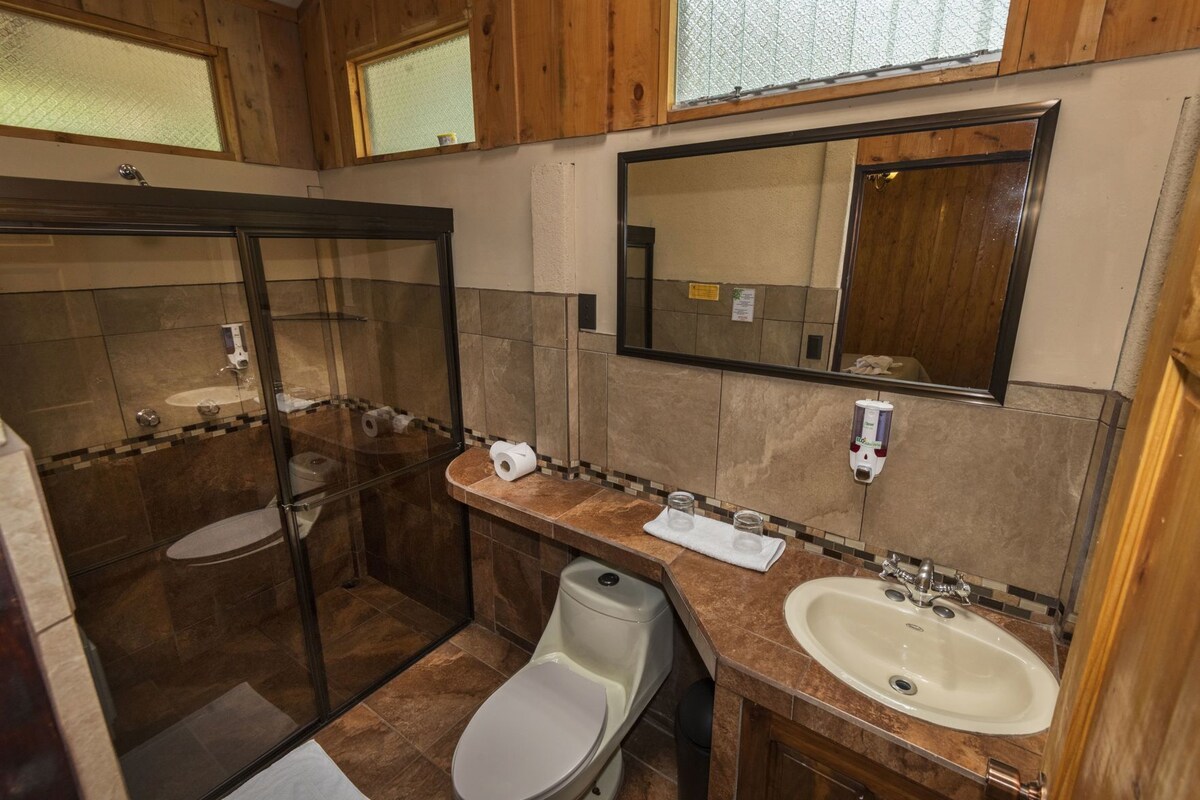 A bathroom with a glass-enclosed shower, a toilet, a sink, and a mirror.