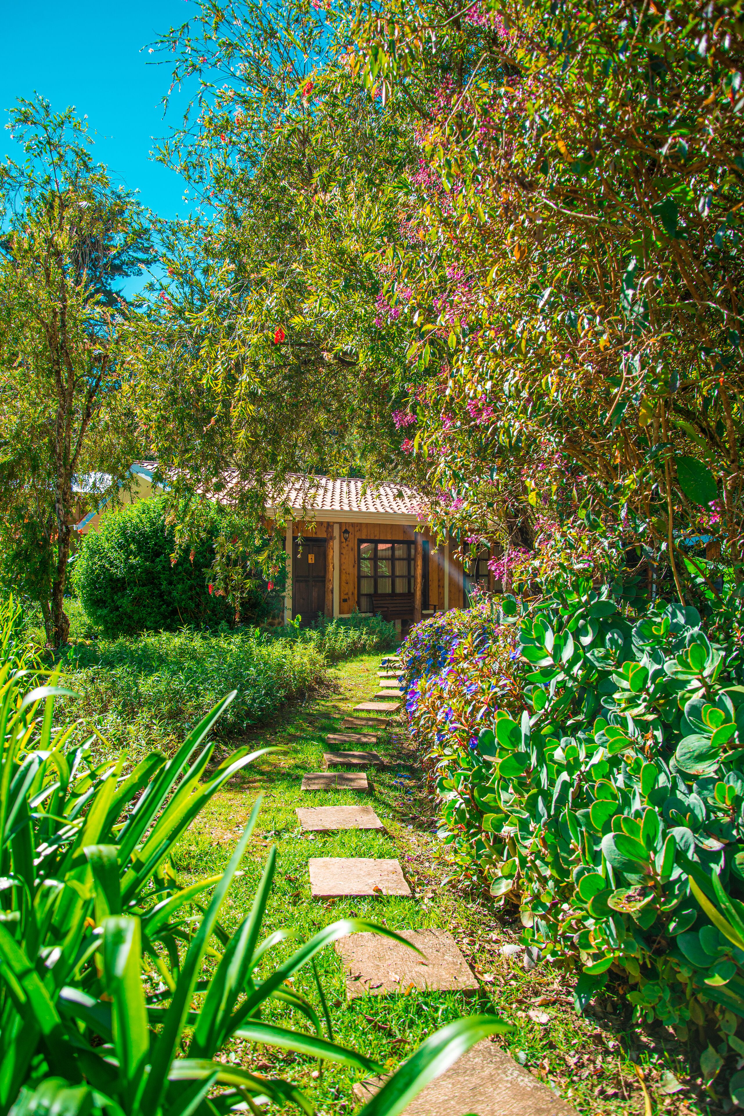 Villa Garden View | Vista al jardín