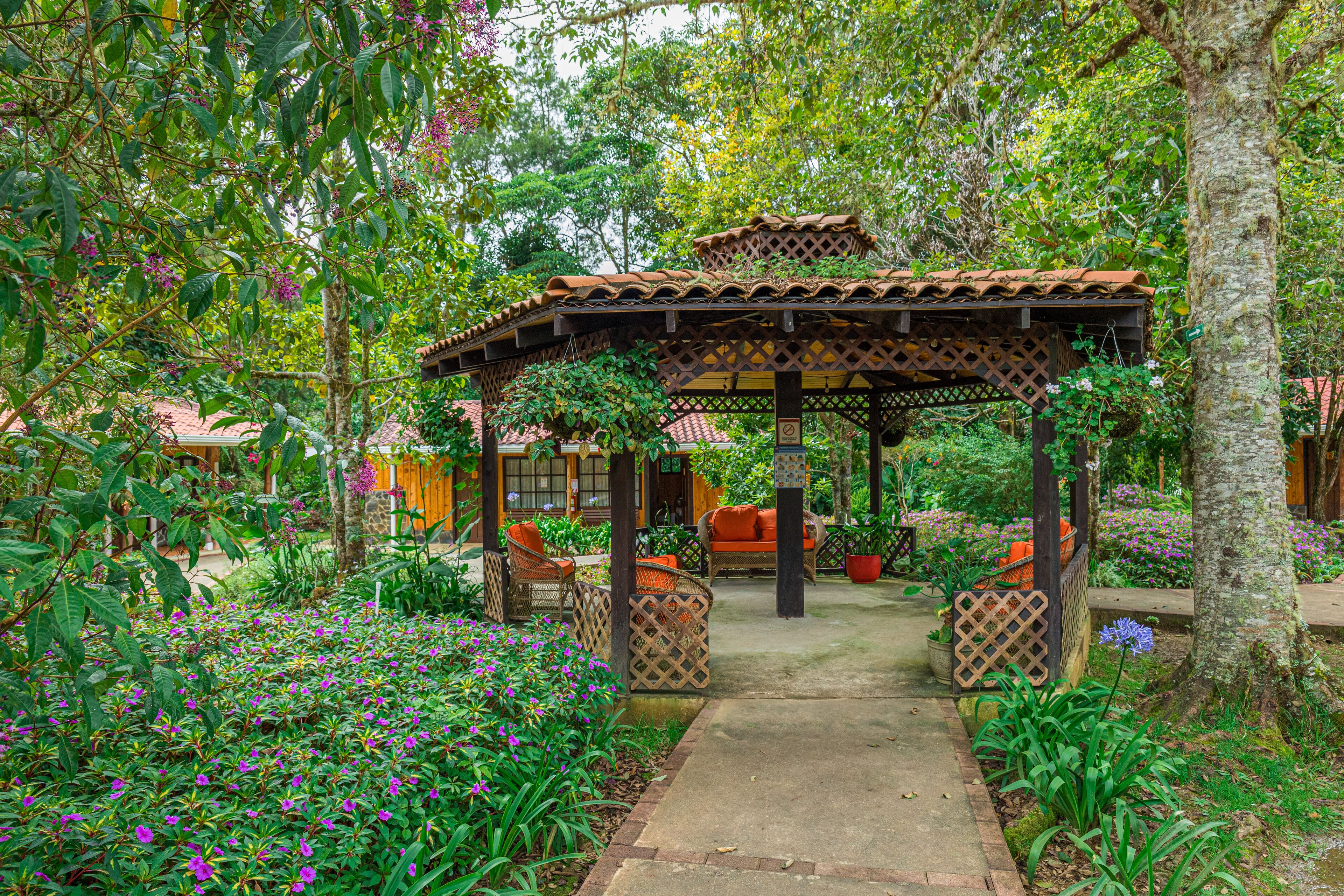 Villa Garden View | 花园景观