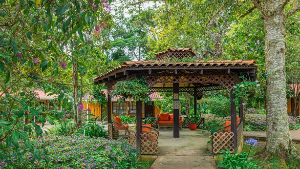 Een tuin met een kiosk, een pad en zitplekken.