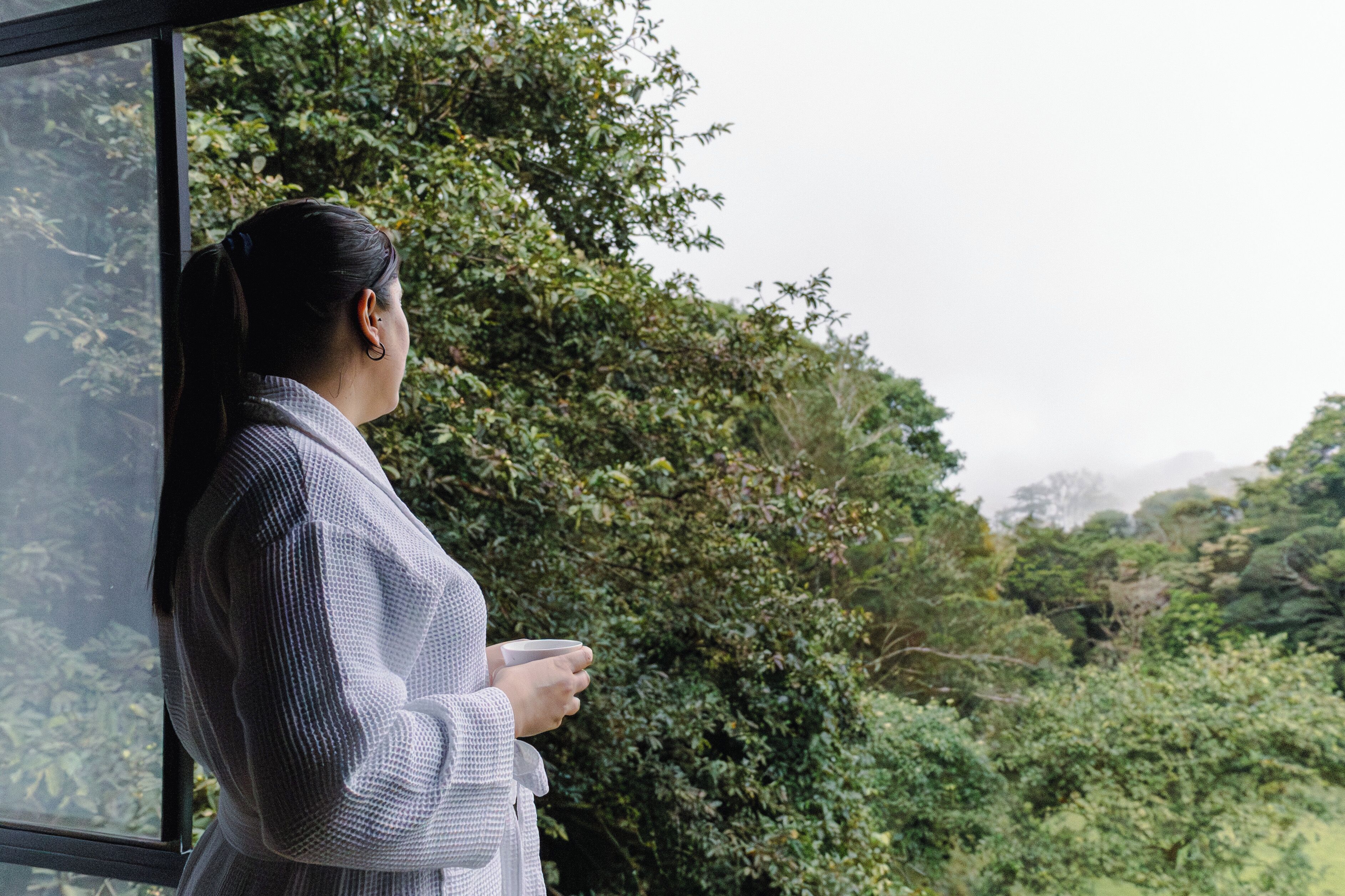 A person standing by a window with a view of dense greenery.