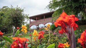 Un edificio con balcón, rodeado de un jardín con diversas flores.