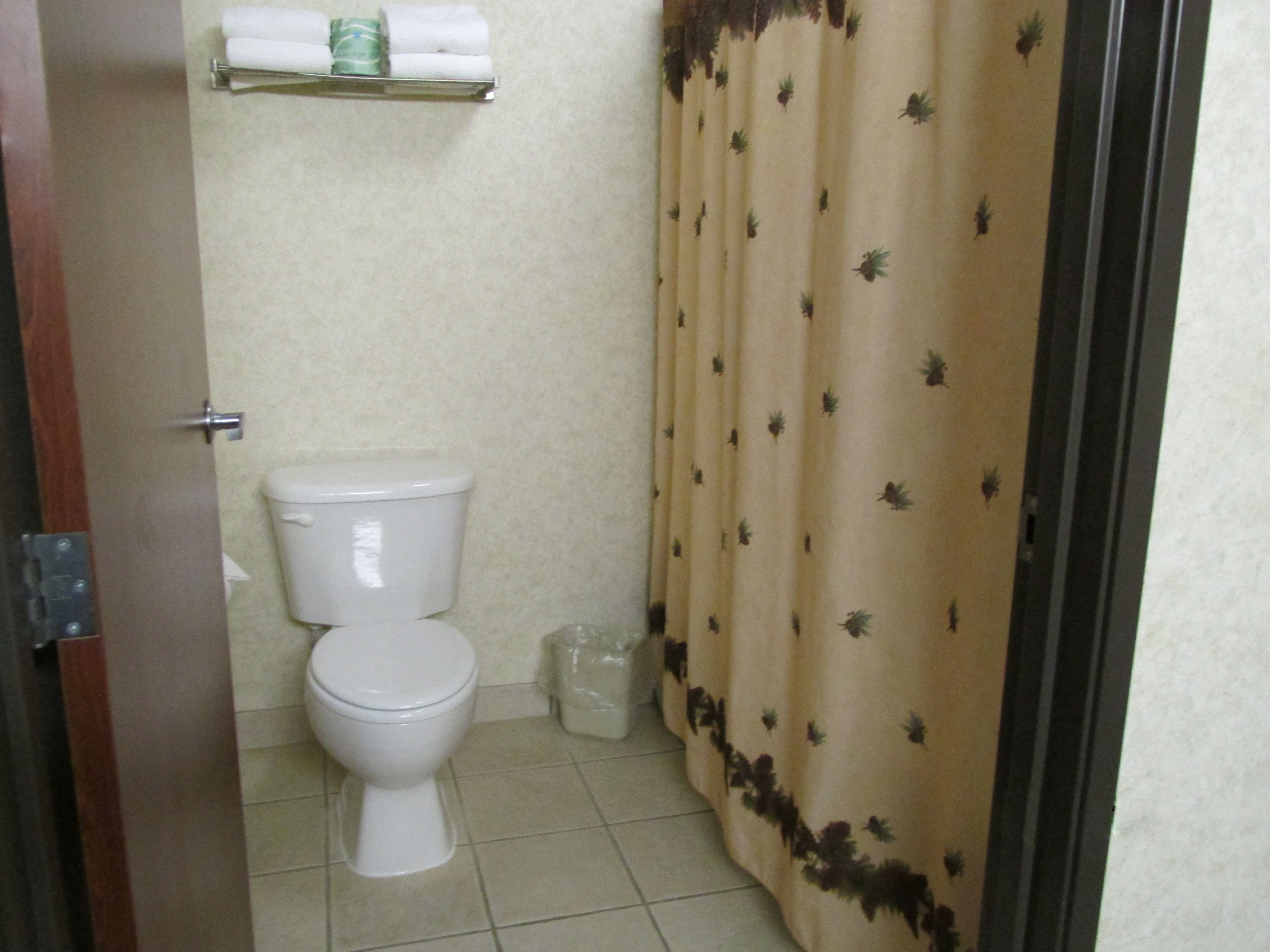 combined shower/bathtub, free toiletries, hair dryer, towels