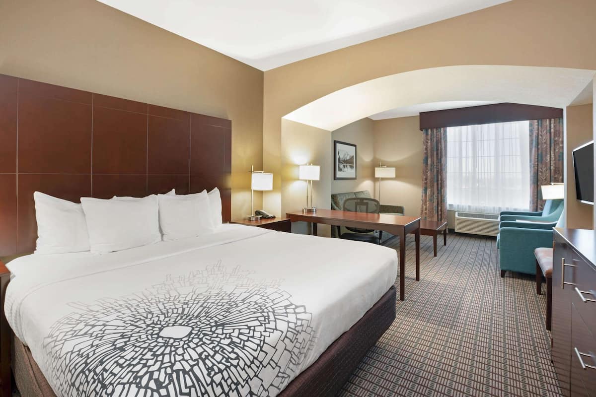 deluxe room, 1 king bed, non smoking (deluxe executive room) | premium bedding, pillow-top beds, in-room safe, desk