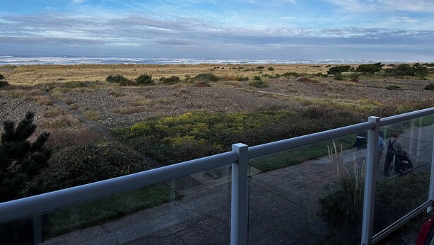 A coastal landscape with a view of the ocean and a grassy field.