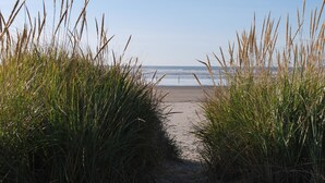 A pathway leading to a beach with tall grass on either side. - Inn at the Shore (Seaside)
