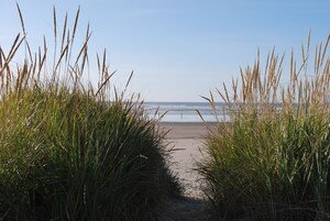 Vista desde la propiedad