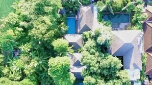 Vista aérea de una zona residencial con varias casas rodeadas de abundante vegetación.