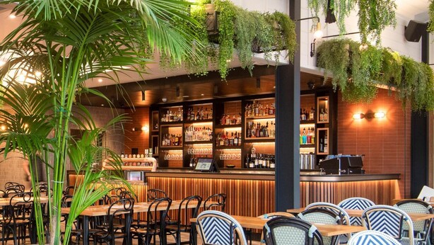 A bar area with wooden tables and chairs, a bar counter with shelves of bottles, and hanging plants. - Hotel Jesmond (Jesmond)