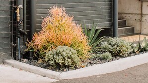 A sign for Hotel Jesmond in Newcastle, Australia, with a modern design and a small garden area in front. - Hotel Jesmond (Jesmond)
