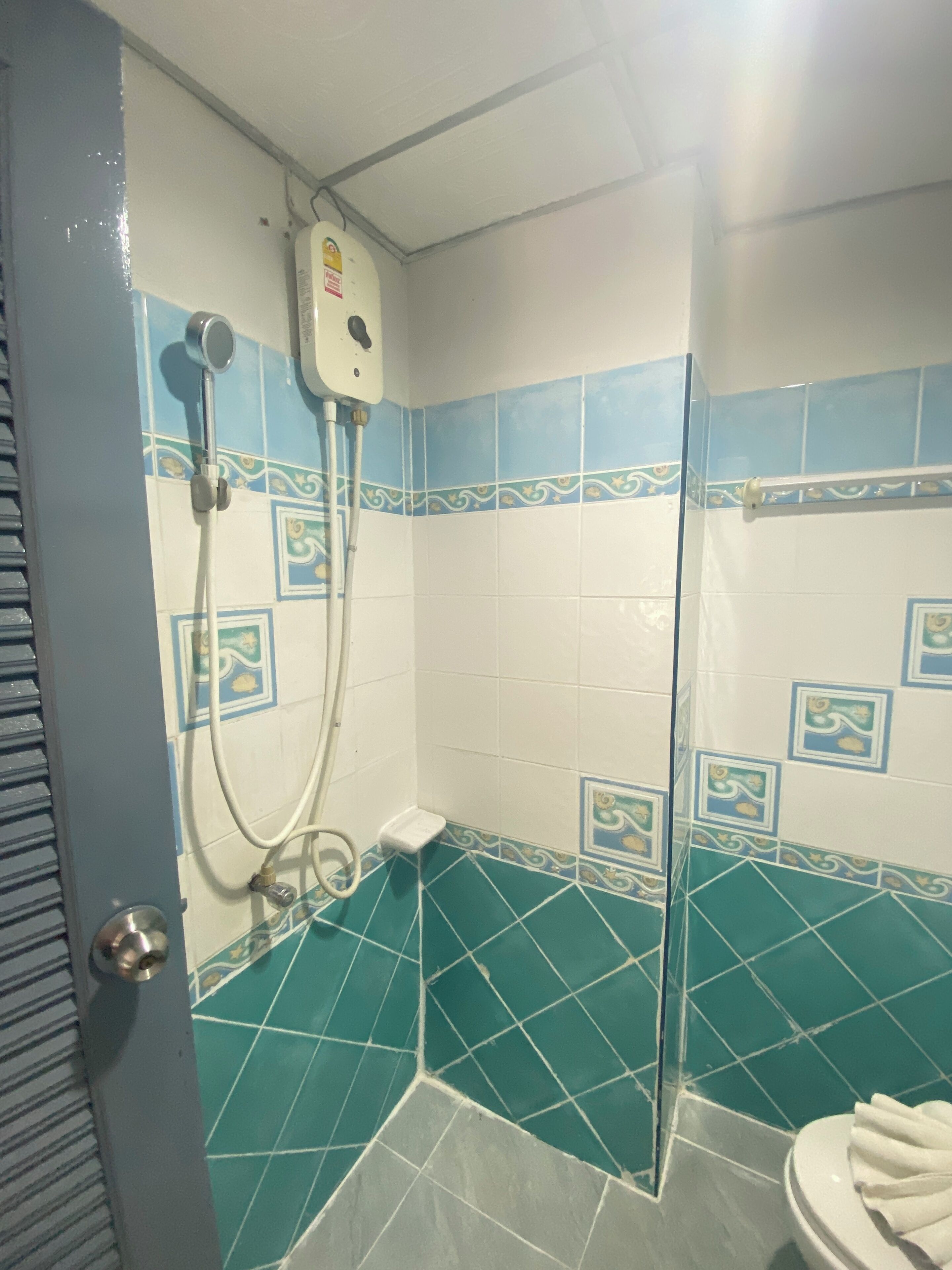Rainfall showerhead, hair dryer, towels