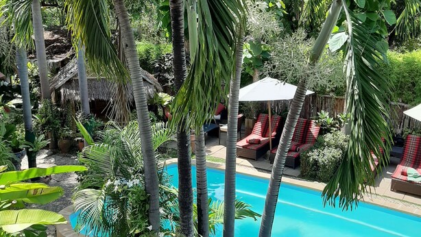 Una piscina rodeada de exuberante vegetación y palmeras, con una estructura de techo de paja al fondo.