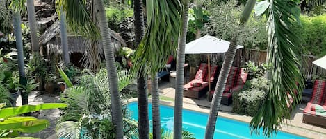 Alberca al aire libre, sombrillas en la alberca y camastros