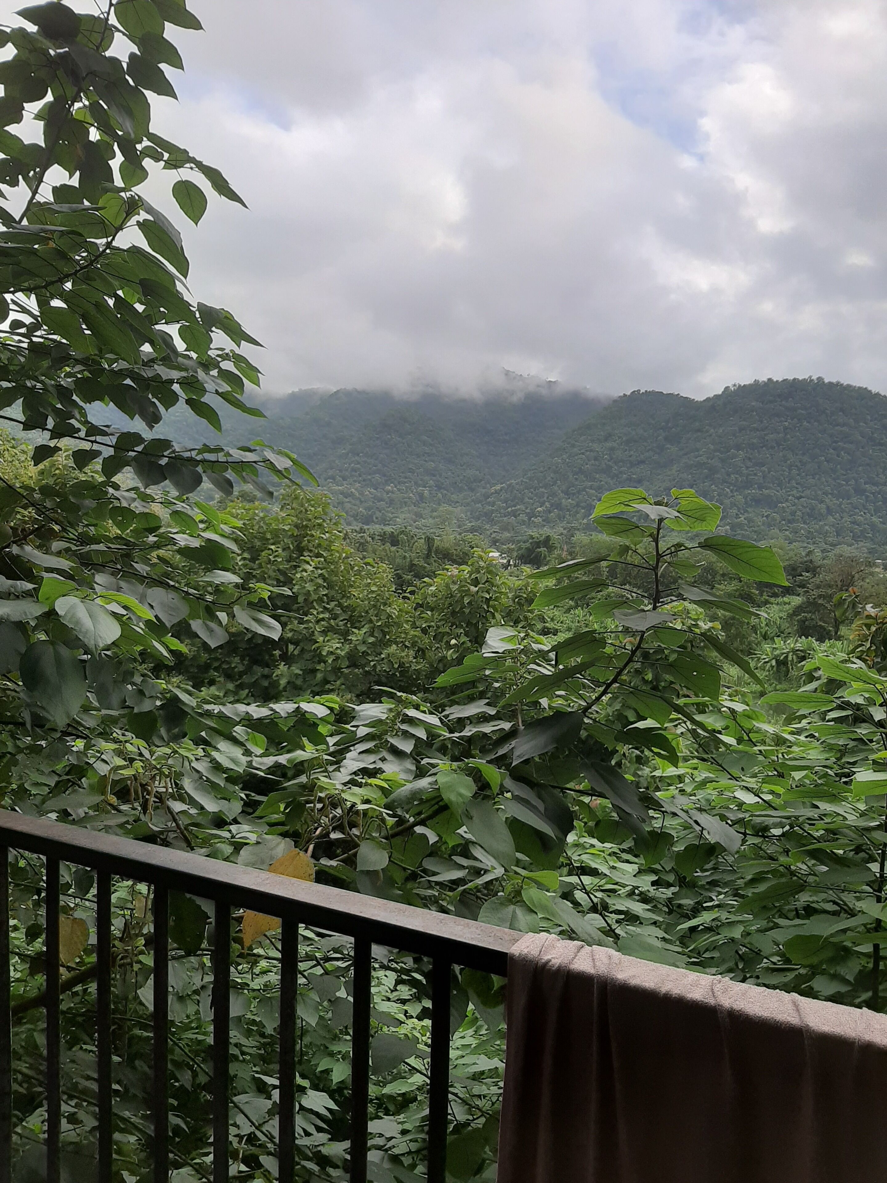 A balcony with a view of a lush, green landscape and a mountain in the distance.