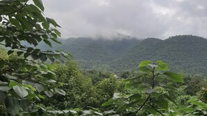 Un balcón con vistas a un paisaje verde y exuberante y una montaña a lo lejos.