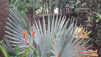 A garden with large, broad-leafed plants and a small statue.