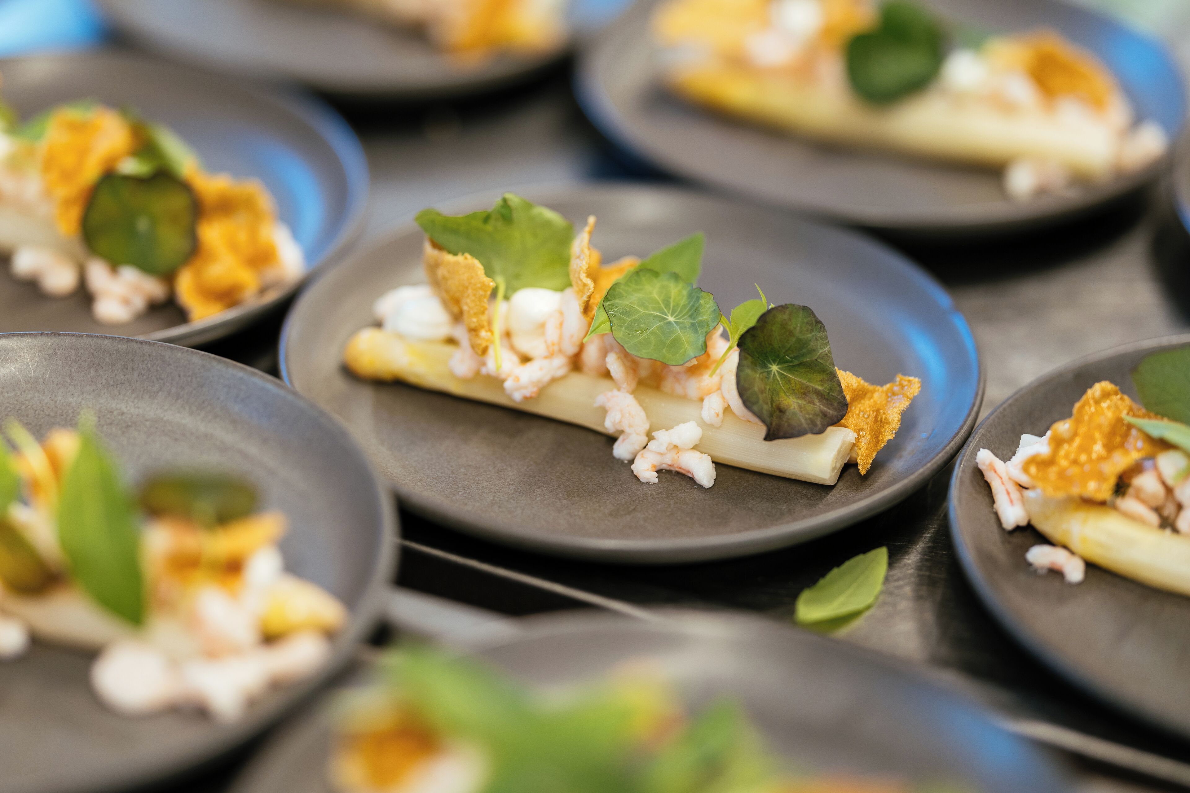 A series of plates with seafood dishes, garnished with leaves and crispy elements.