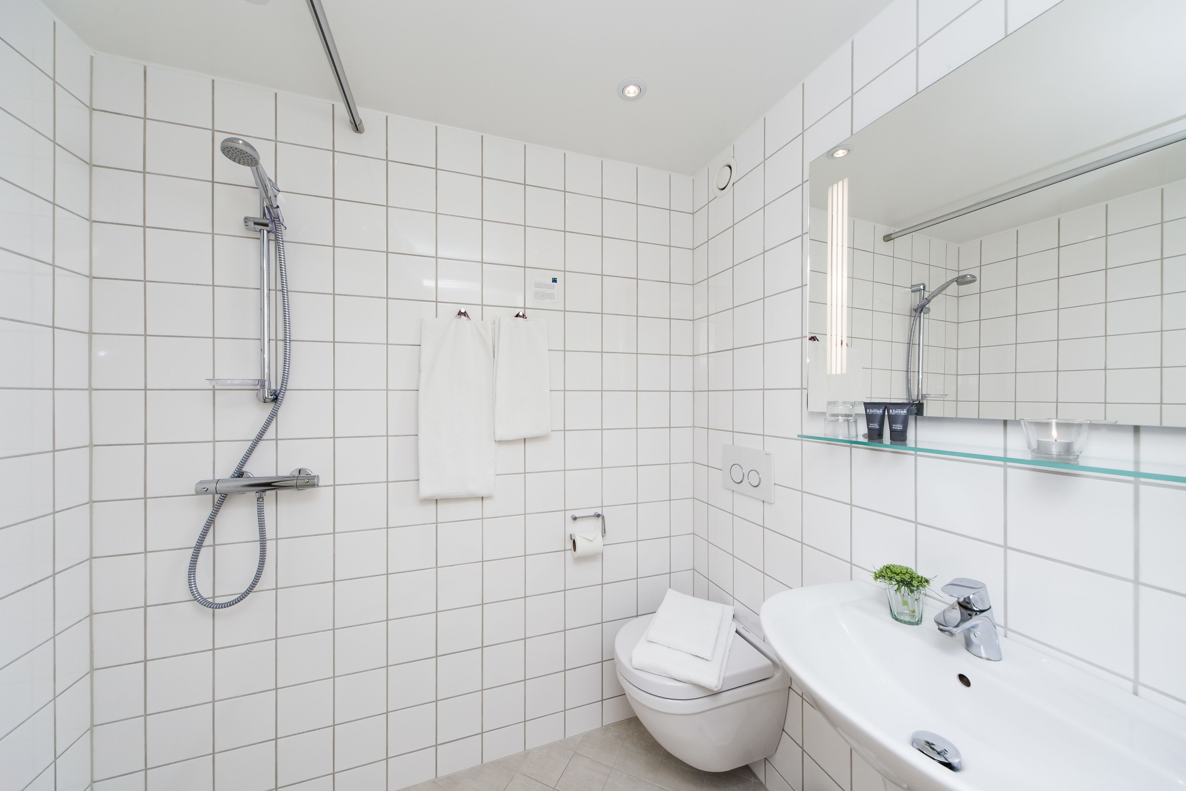 shower, free toiletries, hair dryer, towels