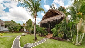 A tropical resort with thatched-roof buildings, a paved pathway, and lush greenery.
