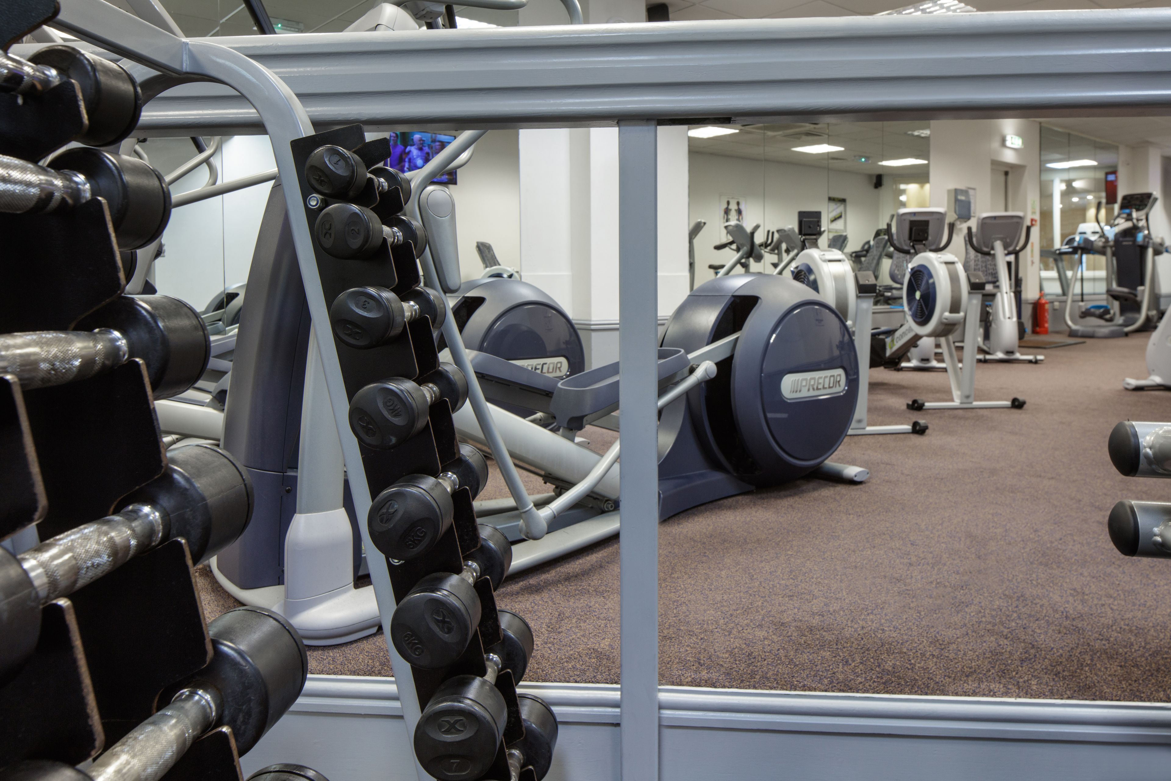 A gym with various exercise equipment including dumbbells, treadmills, and stationary bikes.