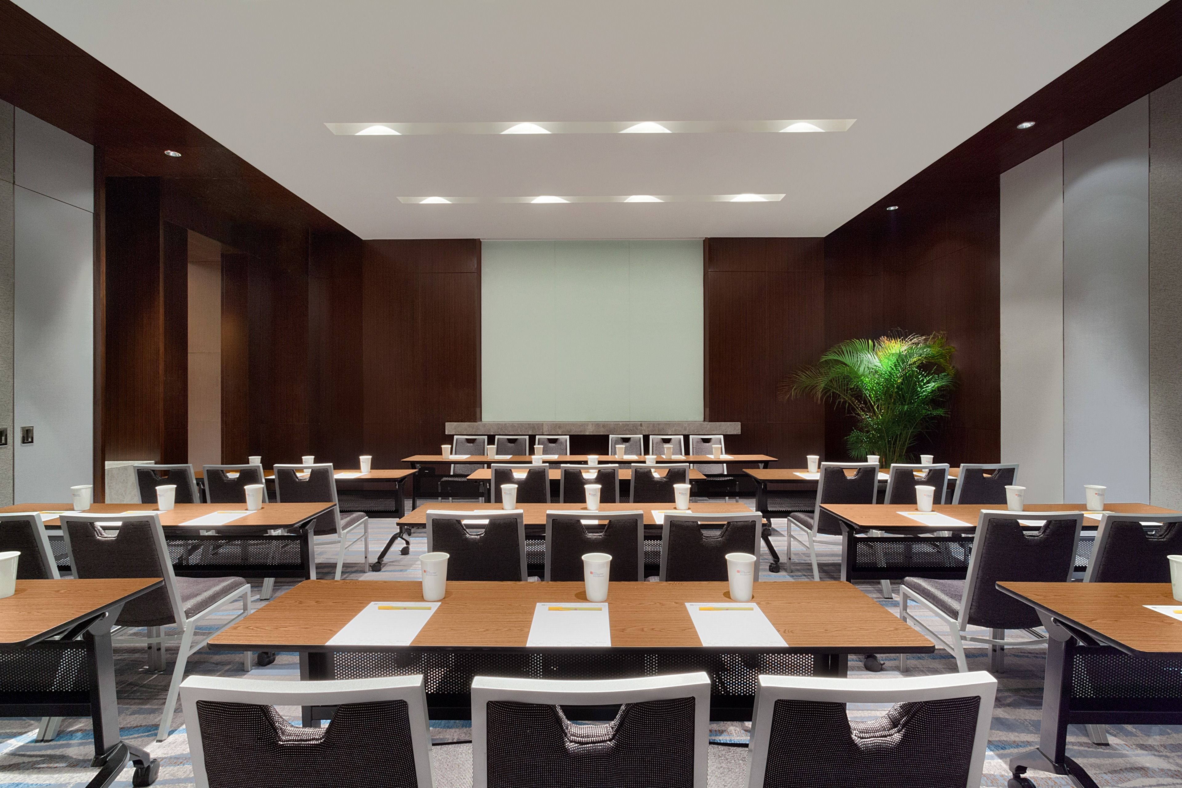 A conference room with multiple tables and chairs, a large screen at the front, and a potted plant.