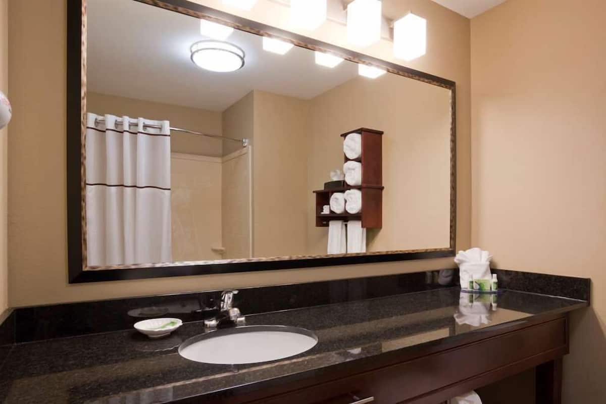 Une salle de bain avec un grand miroir, un lavabo, un porte-serviettes et un rideau de douche.