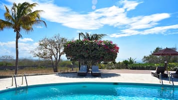 Outdoor pool, pool umbrellas, sun loungers
