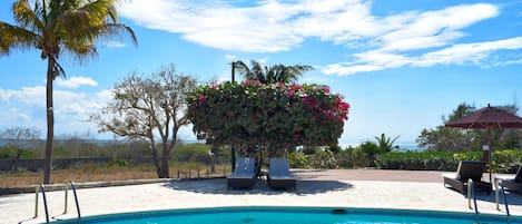 Outdoor pool, pool umbrellas, pool loungers