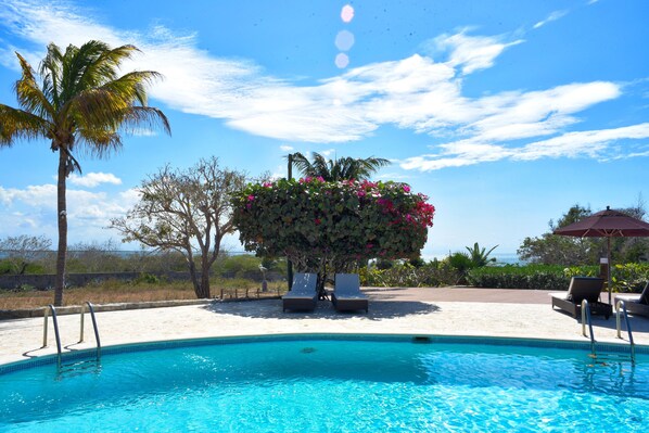 Outdoor pool, pool umbrellas, pool loungers