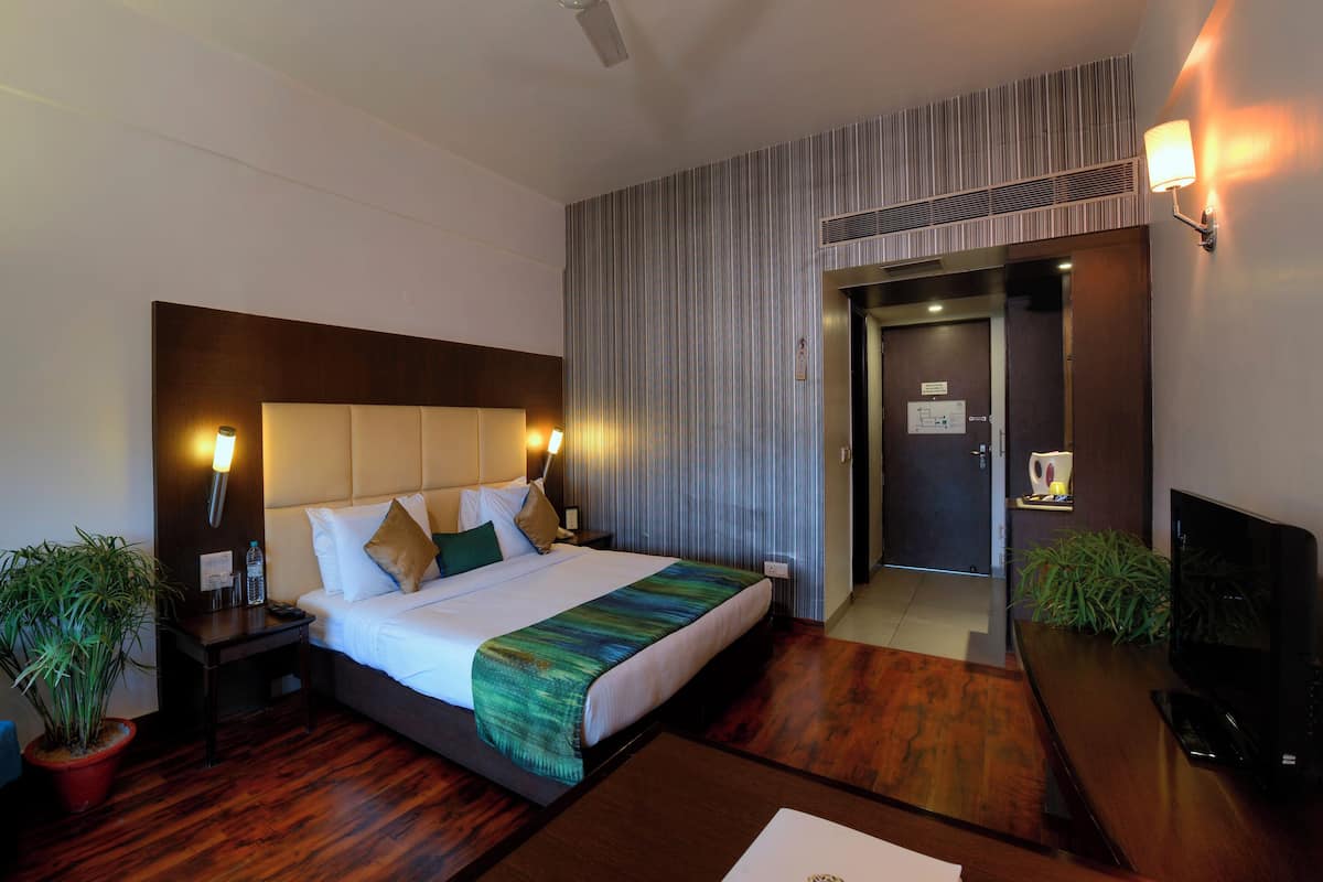 A hotel room with a bed, a chair, a TV, and a potted plant.