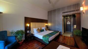A hotel room with a bed, a chair, a TV, and a potted plant.